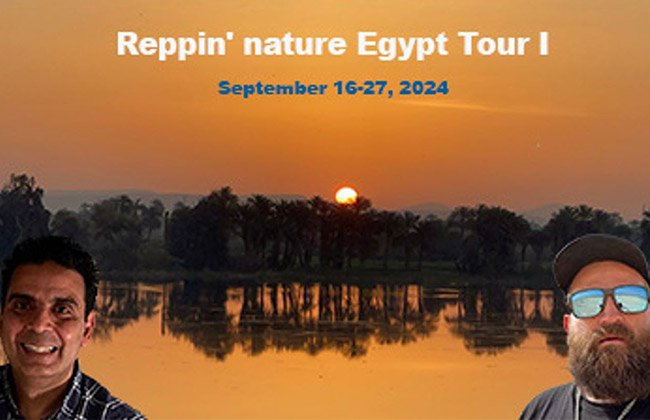 Reppin nature Egypt Tour I